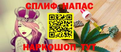 гидра Моздок