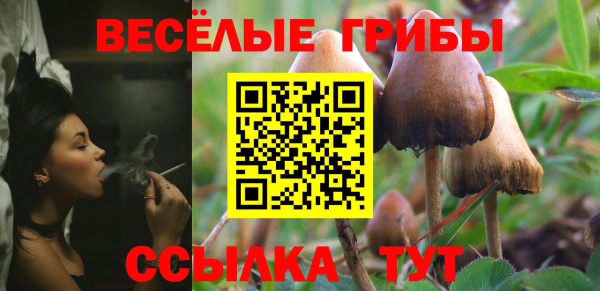 Псилоцибиновые грибы прущие грибы  Галлюциногенные грибы Magic Shrooms  Вход с VPN  Фрязино 